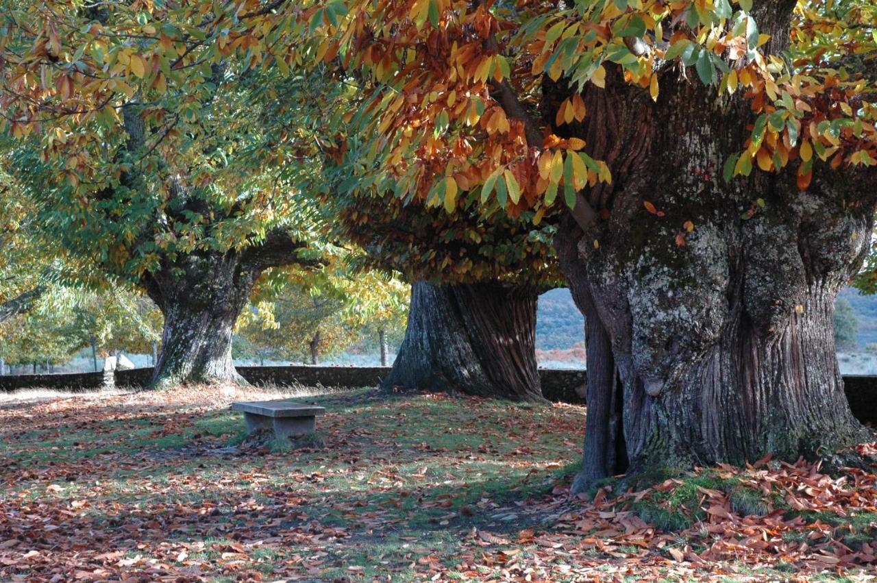 La Era De Sanabria Villa Villarino de Sanabria Esterno foto